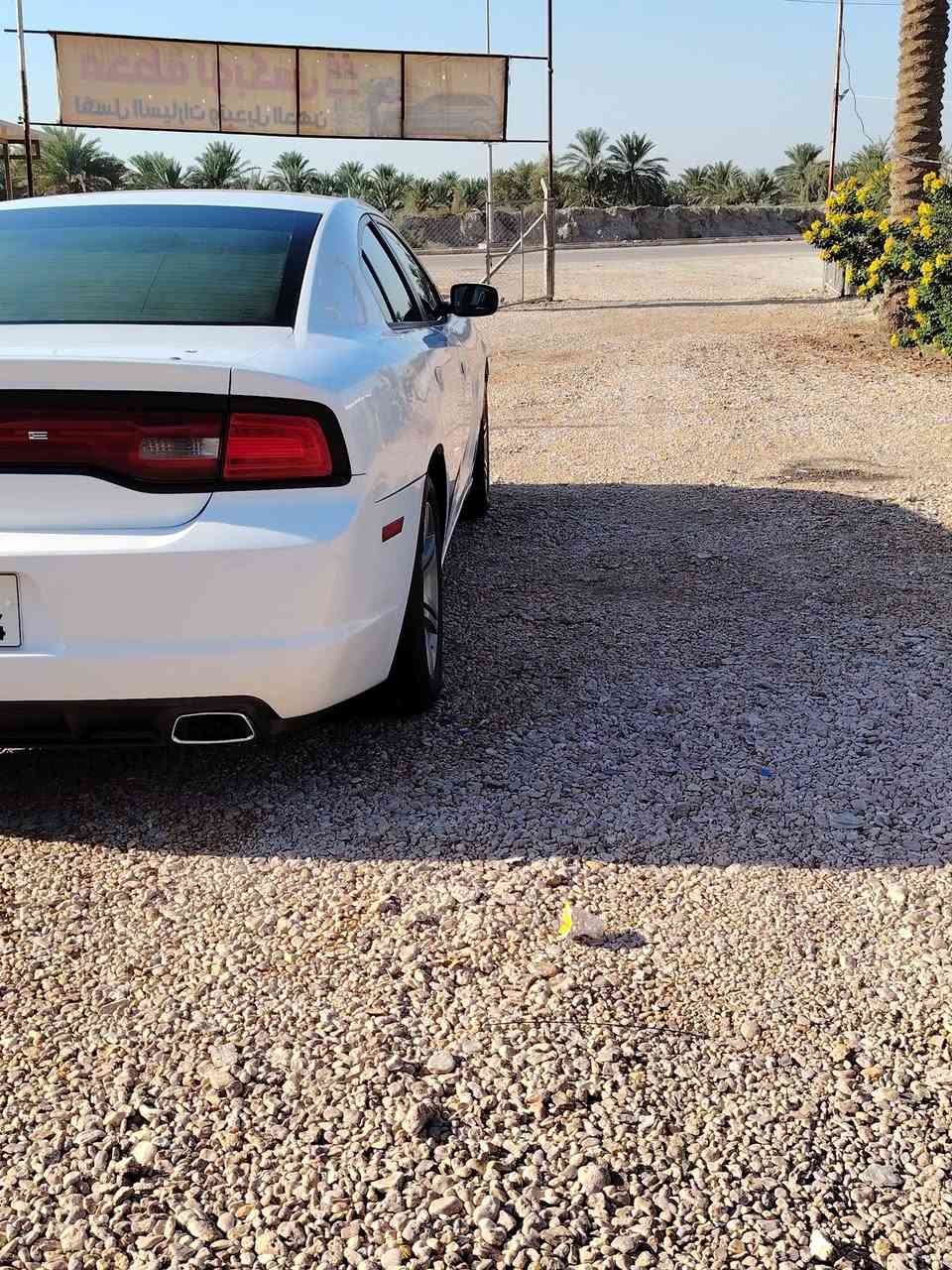 يا الله
السلام عليكم
جارجر موديل ٢٠١٣ للبيع السعر ١٤٥ وبيها مجال
بيها ٣ قطع جاملغ امامي وبنيد فتح او صبغ
وجاملغ خلفي بارد
كير مكينه حداديه تخم تاير كله جديد السياره خير من الله ما ناقصها برغي
بابل حله مركز المدينه
***********
