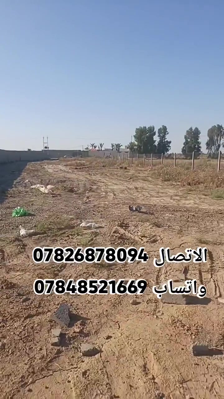 بسم الله الرحمن الرحيم


**إذا كنت صاحب هذا الإعلان وتريد حذفه لأي سبب، رجاءا أرسل رسالة إلى الدعم الفني**