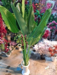 اطول مترتين ٢٠ cm  سعر ٣٥ الف💵  وتوصيل مجاني داخل الحريه وا مناطق مجاو...