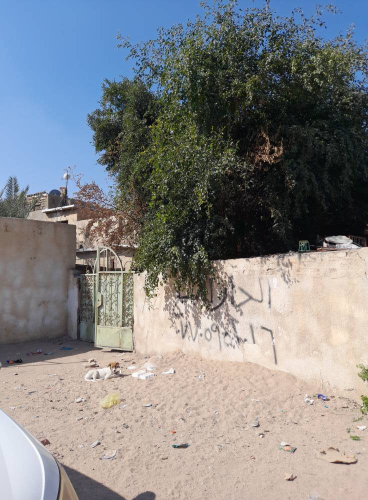 دار للبيع الطويسه خلف الجوازات  ٢٤٠م  سعر متر ٣مليون  قابل لتفاوض  *********** البصرة, العراق
