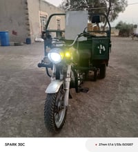 ستوته • صقر • ٢٠١٩