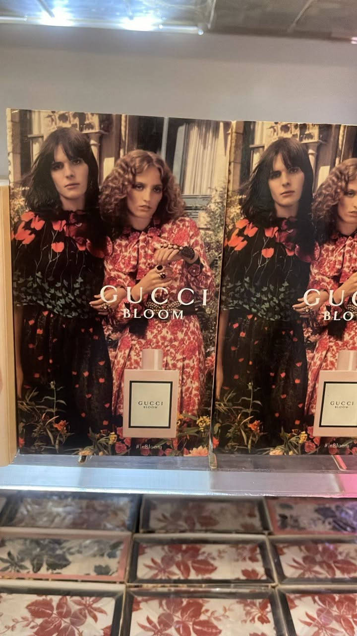 سلام عليكم بيع مستعجل 
266 قطعه عطوراوربيه ابيع الكميه كله  يعني 22 درزن وقطعتيين
يتكون من 6 انواع عطور نسائي رجالي   بسعر مناسب جدا

للتواصل واتساب ***********

متوفر توصيل لكل العراق
