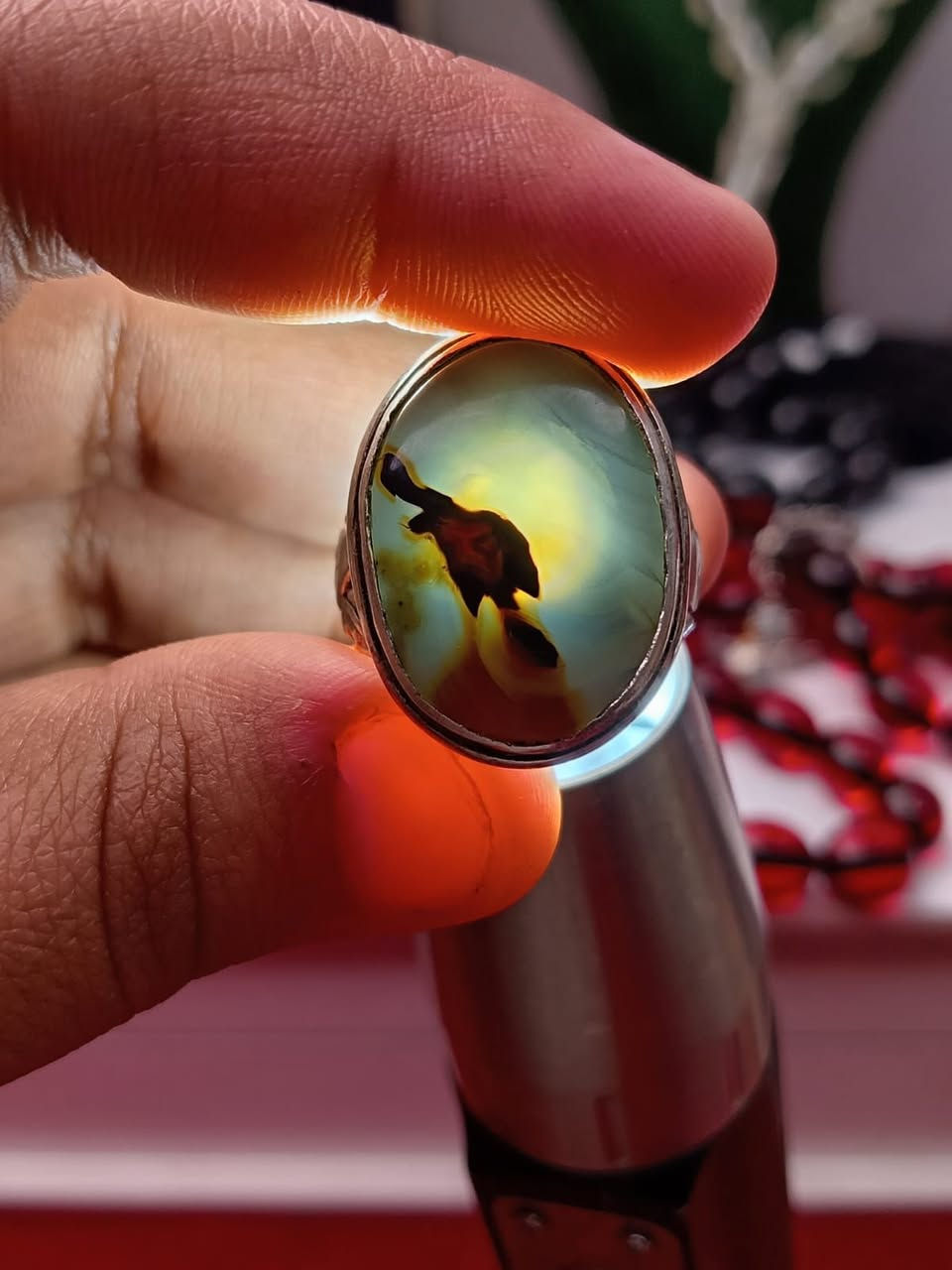 مصوررر واضح السعر 75مع التوصيل


**إذا كنت صاحب هذا الإعلان وتريد حذفه لأي سبب، رجاءا أرسل رسالة إلى الدعم الفني**