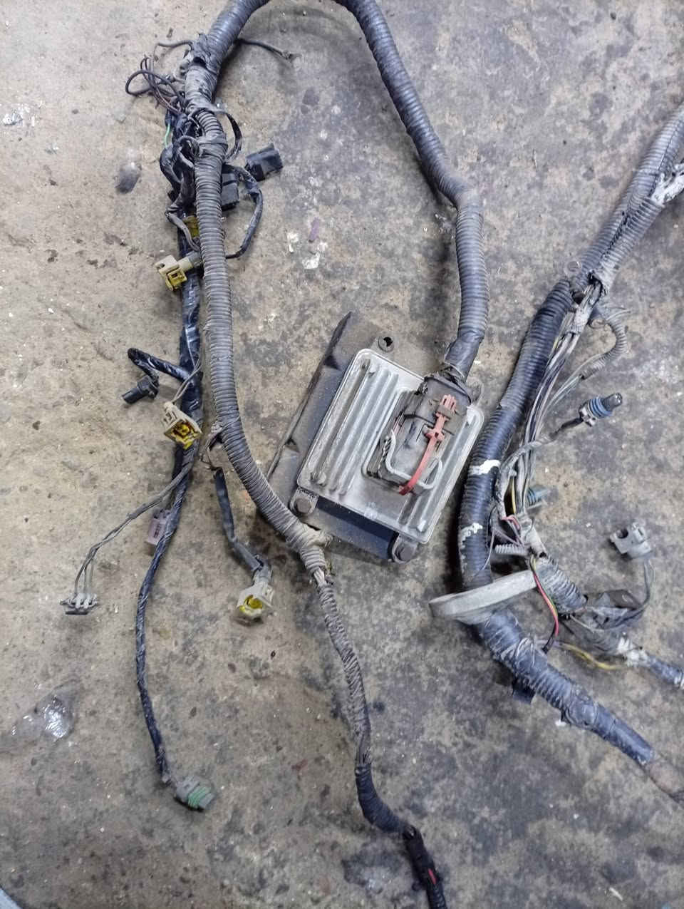 سلام عليكم مرخصة مدير الكروب عقول بيكم دير وبيكم كنو مع ضفاير نضاف .
السعر خاص.
غير متواجد على فيس بوك رجاء.
الرقم بي واتساب متواجد.***********
 عنوان بغداد مدينه الصدر
