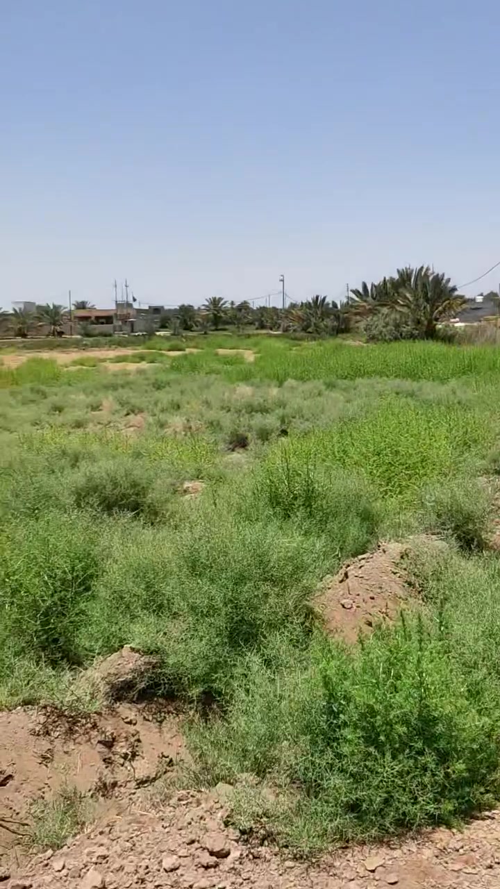 ارض 13 دونم  بالشوملي نزله گصاد متوفر اسأله بوجه الأرض سيح وكهرباء 
عقد 35 
تصلح للسكن كموقع وتصلح حقول
سعر الدونم 16 مليون 
للتواصل والاستفسار 
***********
