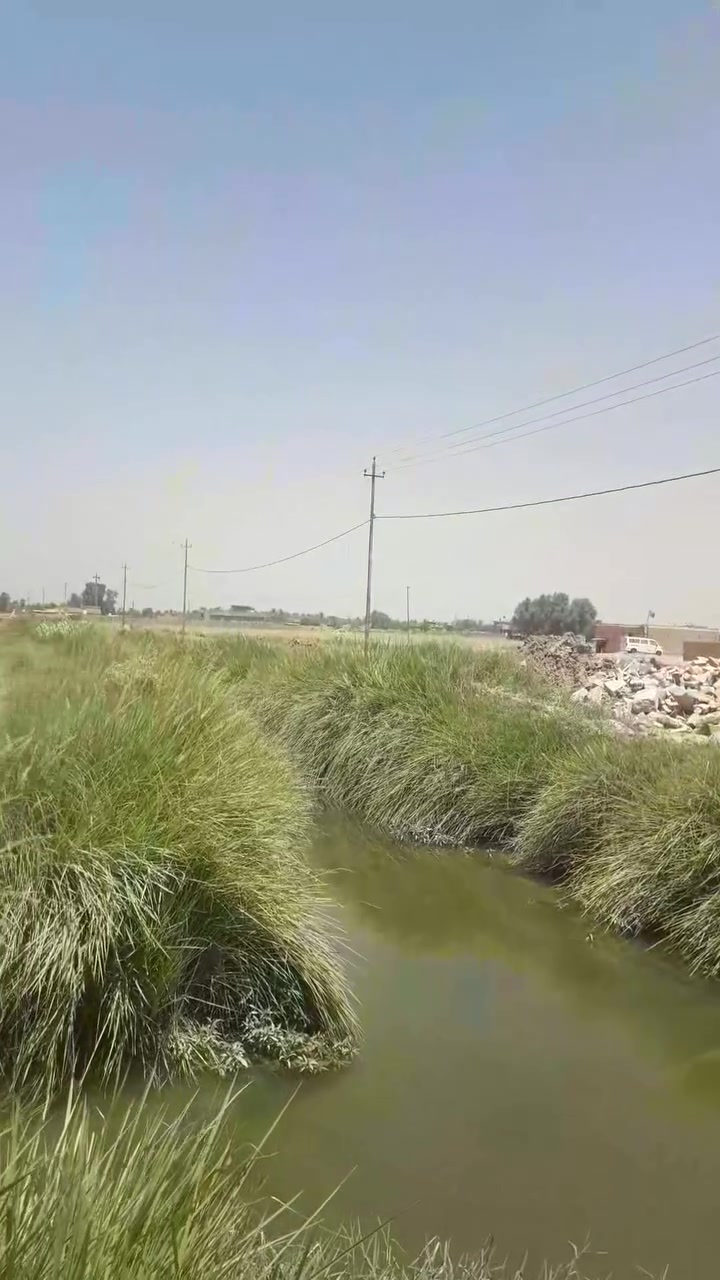 خمسة دونم على جسر الفرنسي البيع  *********** ... ***********
