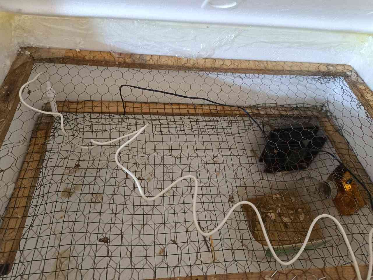 فقاسه عدد 150بيضه
مفقس بيه مره وحده نسبت التفقيس بيه كلش عاليه المكان الرفاعي السعر60الف


**إذا كنت صاحب هذا الإعلان وتريد حذفه لأي سبب، رجاءا أرسل رسالة إلى الدعم الفني**