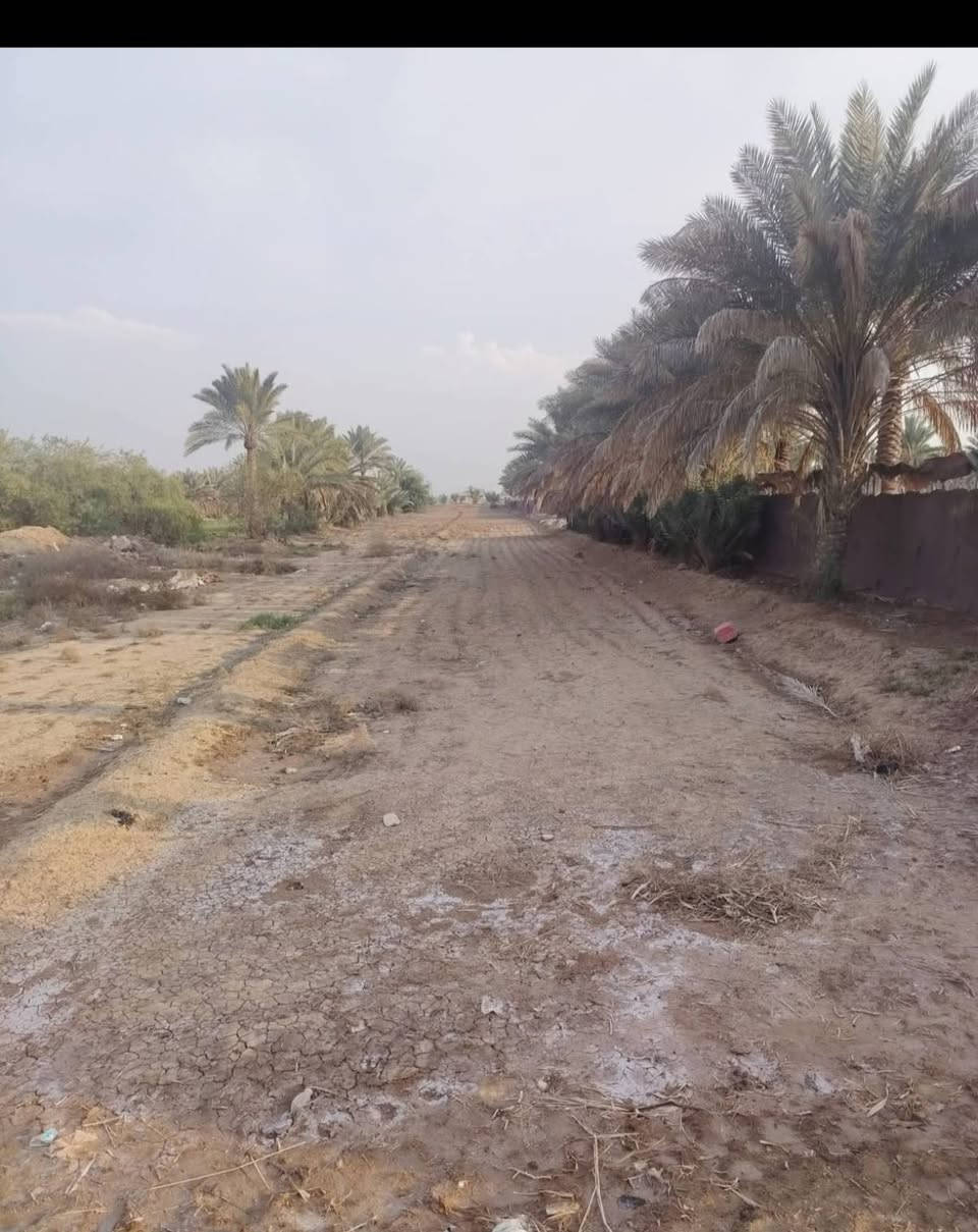 ارض زراعيه للبيع المساحه دونمين ونص طابو زراعي سند ٢٥ الموقع حله ابي غرق خلف مجمع الكوثر السكني خدمات موجوده مي تبليط كهرباء للستفسار ***********
