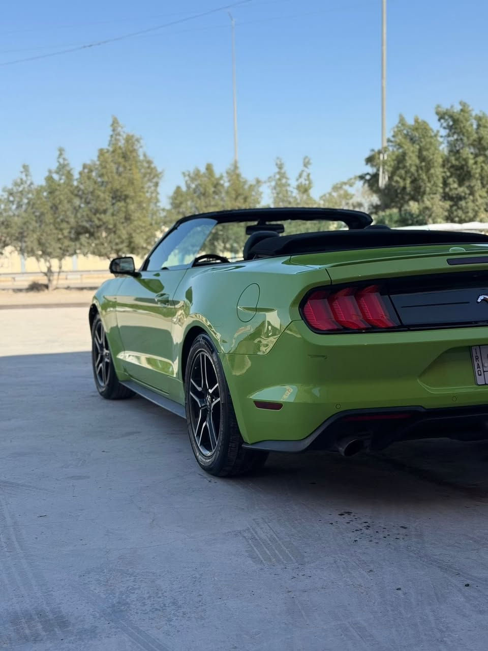سلام عليكم
بيع او مراوس 

فورد موستنك  فووول كشف 1/1 

للبيع 2020  ايكو بوست 

1FATP8UH4L5179857

رقم بغداد 

✅ماشية40  الف 

✅ السيارة جديدة كاملة وبدون نقص

✅ شاشة 

✅ سبايدر +لحيه+دفيوزر سرفيني

✅ محرك وكير وأكسل بشرط 

✅فول تحكمات ستيرن

✅كامره دوارة

✅تشغيل عن بعد

✅منظومه زنون عدسات  

✅تحكم كرسي كهرباء

تبريد مقاعد 

✅✅ السيارة حادثها  4 قطع   

 ✅السيارة نظيفة حيل و متعوب عليها و مصروف عليها هواية ومكمله ع اخر  حبايه، الدهن بس أصلي و البانزين بس محسن.

✅سعرها 160 وبيها مجال 

للاستفسار أتصال أو واتساب

مكان السيارة النجف الاشرف 
*********** واتس 
*********** اتصال
