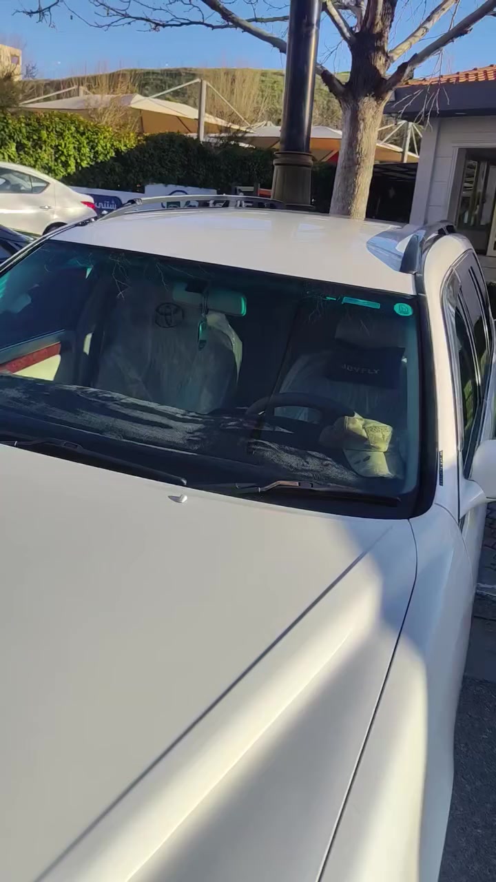 ملكه ستيشن vvt 
75$ بيه شوي مجال 
مكان سليمانيه 
*********** Whatsapp
