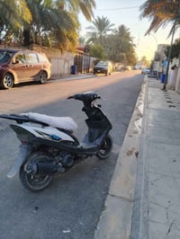 ماكس • بوشة 49 • سلف وهندل