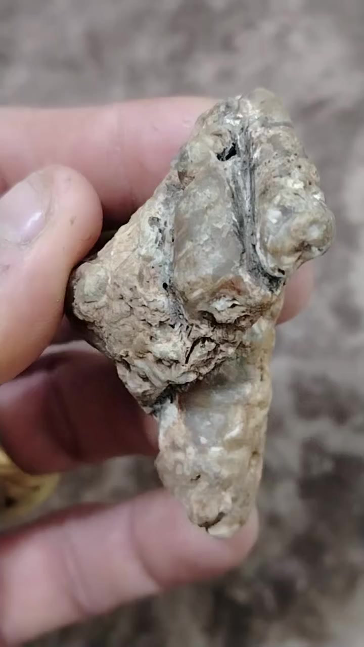 زوعه عطف ذمه ترهم محبس وعطف لوي اكرر عطف لوي معروف شغله رباني شرط ذمه قديم كربلاء حي الوفاء ***********
