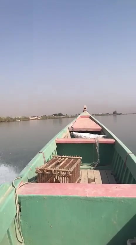سلام عليكم بلم ومكين للبيع حلال جديد البلم وشار حيدر نايف وشار مرتب ابربع وجه والحطب كله سدر وقريب كلش يعني شغل الي بخاطرك مو. شغل سوكاوي الطول 15ذراع ومن جوه عرضهه متر وخمسه بلم جديد كلش زاد مكينه ياماها تلاثين اخذهه كارتون وماممشتغل بيهه شي بصيط شرط ياباني ألاصلي مكينه جديد كلش مكاني السيبه سيحان***********
