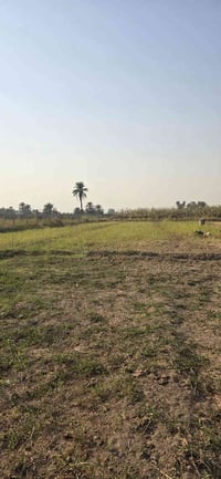 يباع حسب الطلب ١٠٠٠م او اكثر المدائن منطقة الجعارة خدمات كاملة واجهة ا...