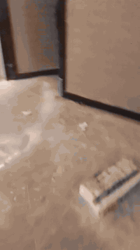 يوجد كادر ترميم البيوت تفليش تأسيس ماء ومجاري وفتح المجاري لباد فلانكوت صب صبغ ترتيب الحدائق نقل انقاذ حداده وعمل السقوف المغربي والثانوي وعمل المناقل المنزليه صيانة الكهرباء المنزليه سيراميك مرمر ربط المغاسل بانواعها ربط الكيزر الكهرباء والكيزر الغاز تبديل الخلاط العاطل تركيب الغربي الدفن والعادي سحب الماءمن الرئيسي للاستفسار الاتصال على الرقم يوجد وتساب  ***********
