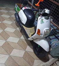 الدونيه • قضاء الشامية • سنغافورة