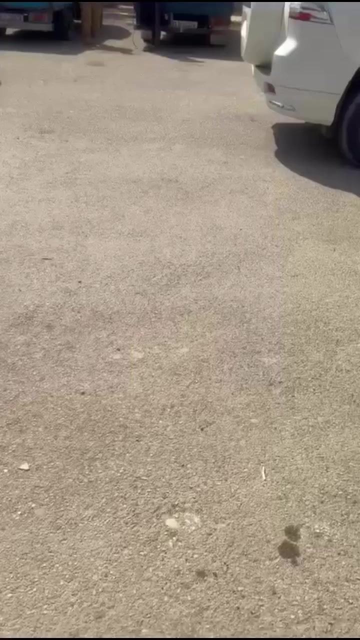 إلى كل من سأل عن الغاز الفيديو يوضح توفر المادة بكميات كبيرة. توجهوا الآن إلى الموقع المعلن (في حسينية الرسول الأعظم).

#شارك_المنشور


**إذا كنت صاحب هذا الإعلان وتريد حذفه لأي سبب، رجاءا أرسل رسالة إلى الدعم الفني**