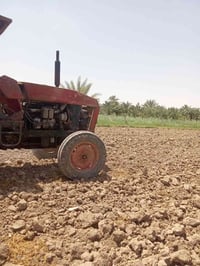 مكينه لبيع عنتر 80 111 لحجز و الاستفسار 07800781173