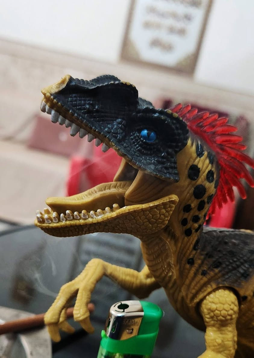 تيرانآصور من العصر الجورآسي 
دينآصور مفصلي بالكامل 
جودة عاليه / وزن ثقيل 
السعر 10 الالف فقط


**إذا كنت صاحب هذا الإعلان وتريد حذفه لأي سبب، رجاءا أرسل رسالة إلى الدعم الفني**