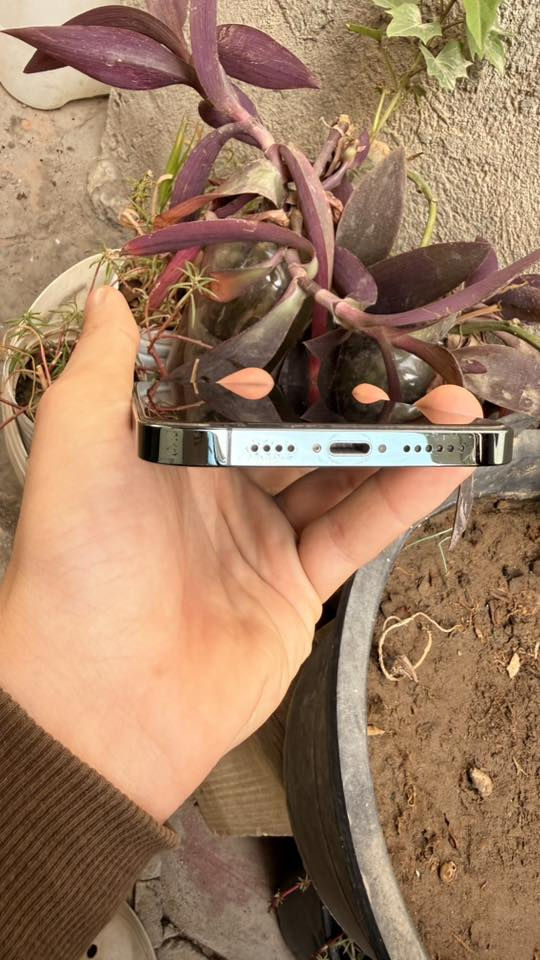 الذاكرة ٢٥٦
البطارية ٨٢
النظافة ١٠٠٪؜
العنوان بغداد - العبيدي - فلكة حي النصر
الموبايل نظيف ع ايدي مامبدل بيه اي شي 

تواصل واتساب
 ***********
