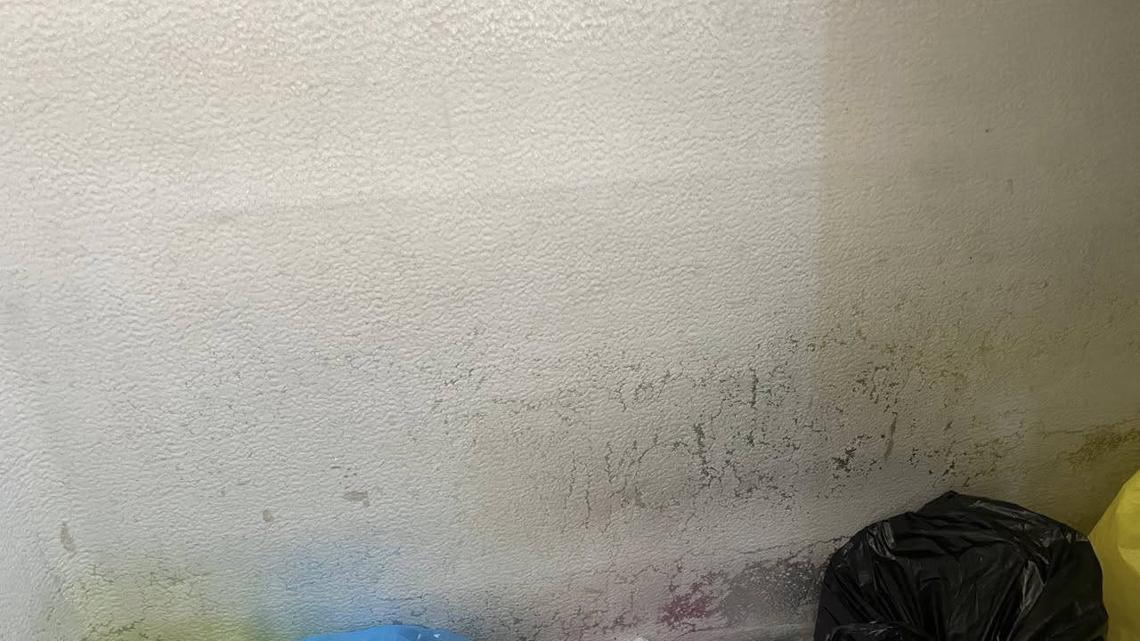 السلام عليكم 
براد ومجمده سوه حجم  كبير جداً للبيع


**إذا كنت صاحب هذا الإعلان وتريد حذفه لأي سبب، رجاءا أرسل رسالة إلى الدعم الفني**