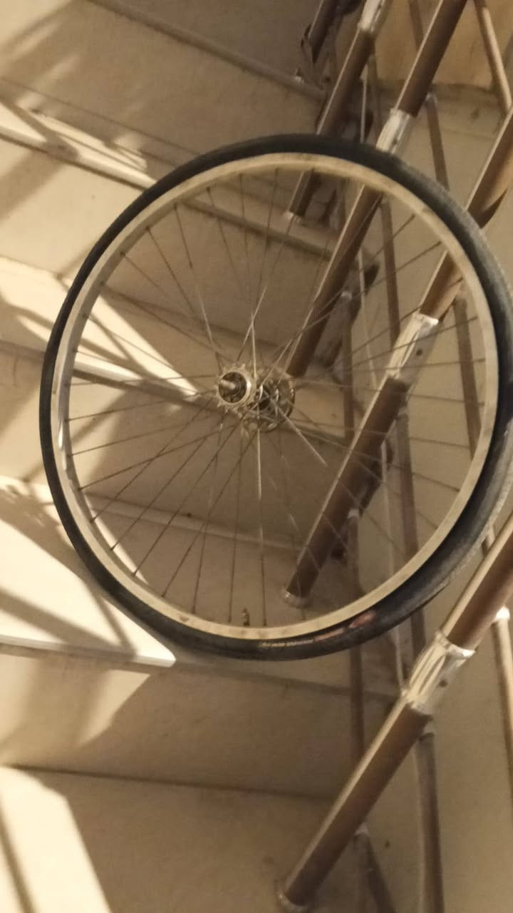 السلام عليكم للبيع شاصي وثنين ويلات وياهن تايرات جدد وتيوب جدد والبايسكل وياه المكينه والزنجيل وويا مال كشن ووياه مدكر ووياه كفات ومال كفات السعر 35 الف جدد ما بيهن شي بس تعال وشد


**إذا كنت صاحب هذا الإعلان وتريد حذفه لأي سبب، رجاءا أرسل رسالة إلى الدعم الفني**