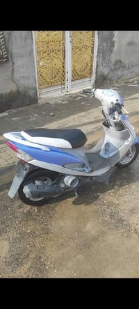 منغوليي للبيع ما مفتوحه سعر 600 واتساب  07850251257