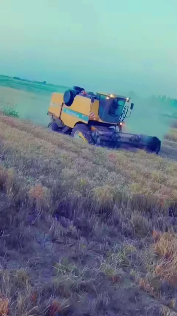 السلام عليكم حاصوده للبيع2014  اربعه بلم تك درام عظم رقم اربيل  تخم تاير جديد مكلف بالنشر هذا رقم صاحبها‏‪***********‬‏
