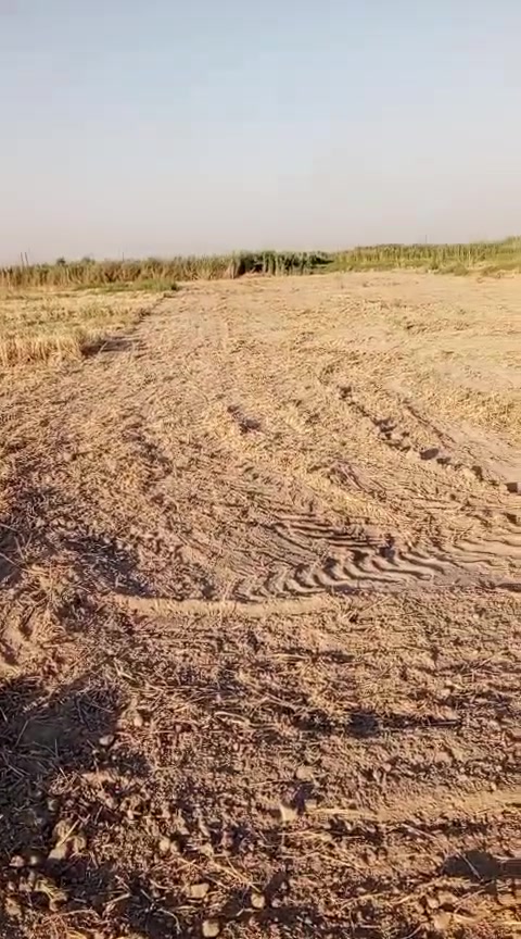 نص دونم للبيع عالوقف / المدائن / سلمان باك شارع الاذاعه واجه ١٥ نزال ٨٤ للبيع غير متواجد عالفيس الاتصال ***********
