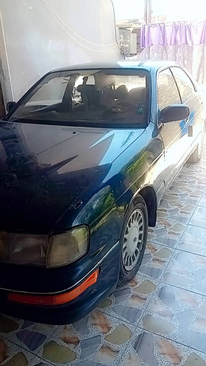 بطه متصل موديل ٩٣رقم انبار دولي مكينه كير صدر كله نظيف ٢٥٠٠ديلكو تبريدشغال تخم تاير سياره بلاديه مكفوله من النقل والصبغ والكص السعر ٤٨وبيها مجال ***********العنوان واسط
