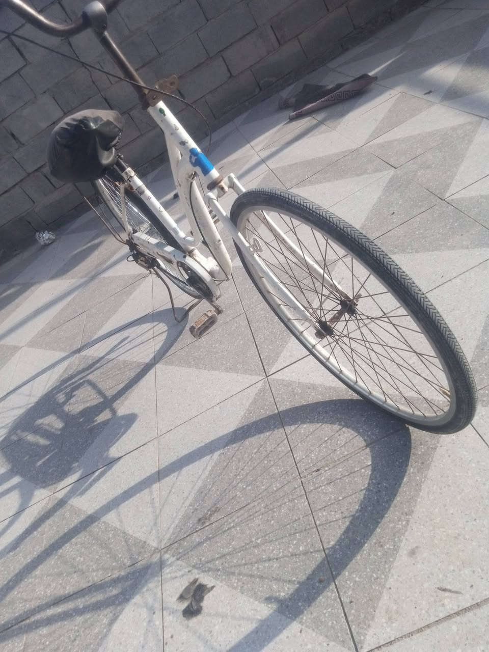 سلام عليكم باسكل البيع 50 مكان سوق الشيوخ***********
