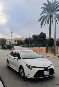 كورلا • ٢٠٢٠ • وارد امريكي