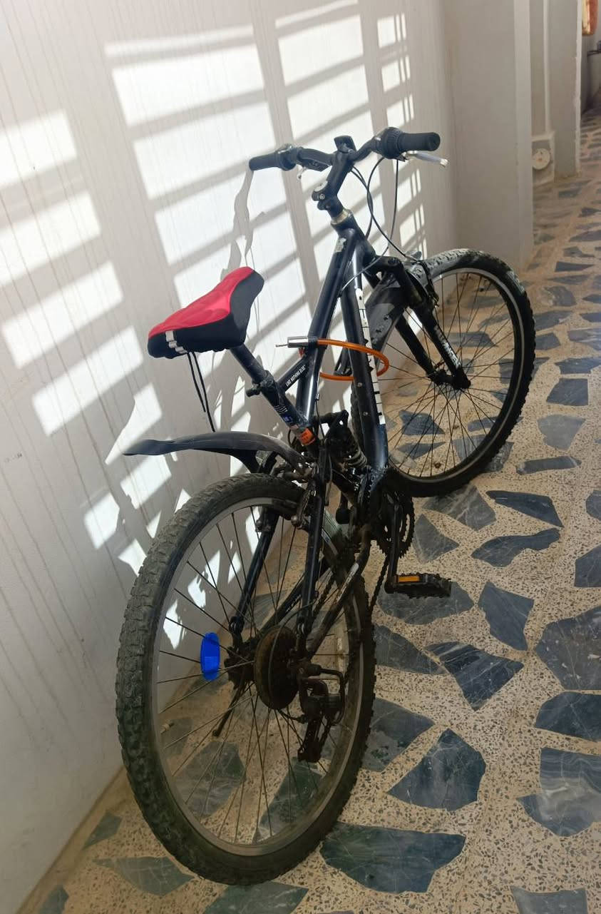 باسكل للبيع 200و بي مجال حجم 26 نوعو بكستاني جديد اذا احد يريد يجي خاص🚴🚵


**إذا كنت صاحب هذا الإعلان وتريد حذفه لأي سبب، رجاءا أرسل رسالة إلى الدعم الفني**