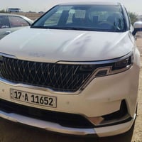 كرنفال • ٢٠٢٤ • وارد أمريكي حادث
