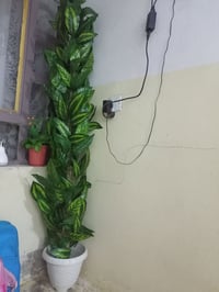 شجرة صناعية • جديدة • ديكور