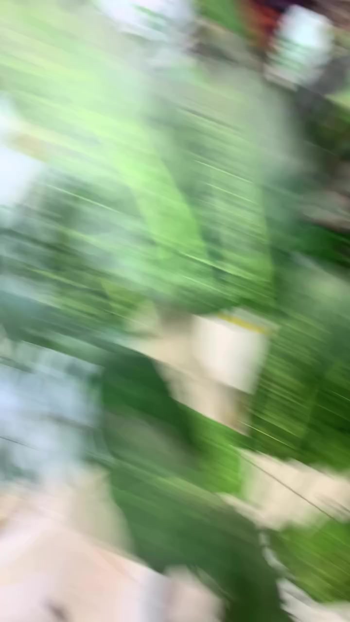 تم بفضل الله  تكرار عرض الشجر مرة اخري من عند  جاليري الشافعي للنجف والانتيكات


**إذا كنت صاحب هذا الإعلان وتريد حذفه لأي سبب، رجاءا أرسل رسالة إلى الدعم الفني**