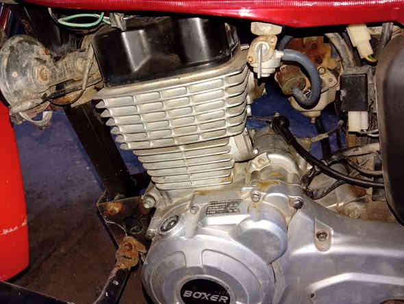 يا الله سلام عليكم طبعن مرخصت الادمن الصور بليل للعلم 
للبيع مكفيوله عام اوراق اصولي مديل 2021
سعر 800الف المحرك مكفول عام دراجه مال منتسب مامتعوبه بس مهموله أي نعم مكان ميسان قضاء علي الغربي 
الصور ولمقطع موضح كلشي بيه إلي ينشاف بل عين ماينحمد العزاز تجي وتصعد وتطلع تراي وأنه خادم للطبيب 
***********واتساب
***********واتساب وبيه مجال
