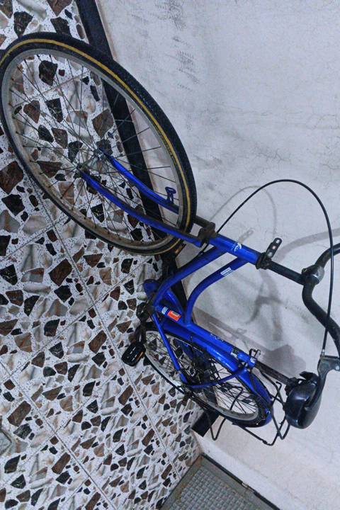 ديالى بعقوبة دور زراعة الثالثة 