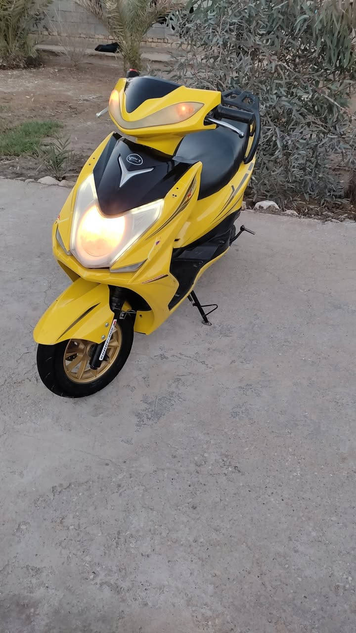 السلام عليكم شباب دراجه  سكنس فحل مديل 24 جاهزه نكره سلف هندر كرهبيات بريكات دسك تواير باتري كله جاهزه وسريعه كلش وناعمه الله شاهد دراجه خير من الله السعر 400 وبيه مجال عنواني قضاء الرفاعي *********** واني بل خدمه
