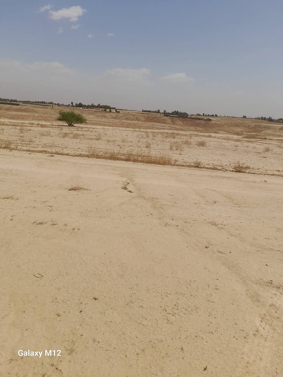 أرض سند شرط التحويل من دائرة العقاري بالشرگاط  مساحتها 9 دوانم ونص ///// مع 4 دونم بور أميرية طبگها  موقع الأرض الشرگاط  برية بعاجة   للأستفسار عن السعر  اتصل على هذه الأرقام  ***********     ***********
