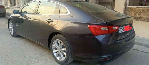 🚗 للبيع – ماليبو 2023 أسود كذابي / فل مواصفات

• محرك 1500 تيربو
• تشغيل عن بُعد
• تحكمات ستيرن جهتين
• تثبيت سرعة
• تحديد مسار
• شاشة
• تدفئة وتبريد المقاعد
• توريث / وضعية الثلج

🔧 الحالة:
ضربة خلفية جهة اليسار — فقط الدعامية مبدلة
البَتشوم سليم بدون أي ضغط
الحادث بسيط والسيارة ماشية 86 ألف

💵 السعر: 130 ورقة دولار
📍 الموقع: بغداد
📞 ***********
