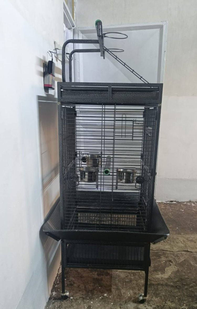 للبيع


**إذا كنت صاحب هذا الإعلان وتريد حذفه لأي سبب، رجاءا أرسل رسالة إلى الدعم الفني**