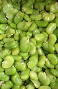 باجة مجمدة • جاهز للطبخ • حجز