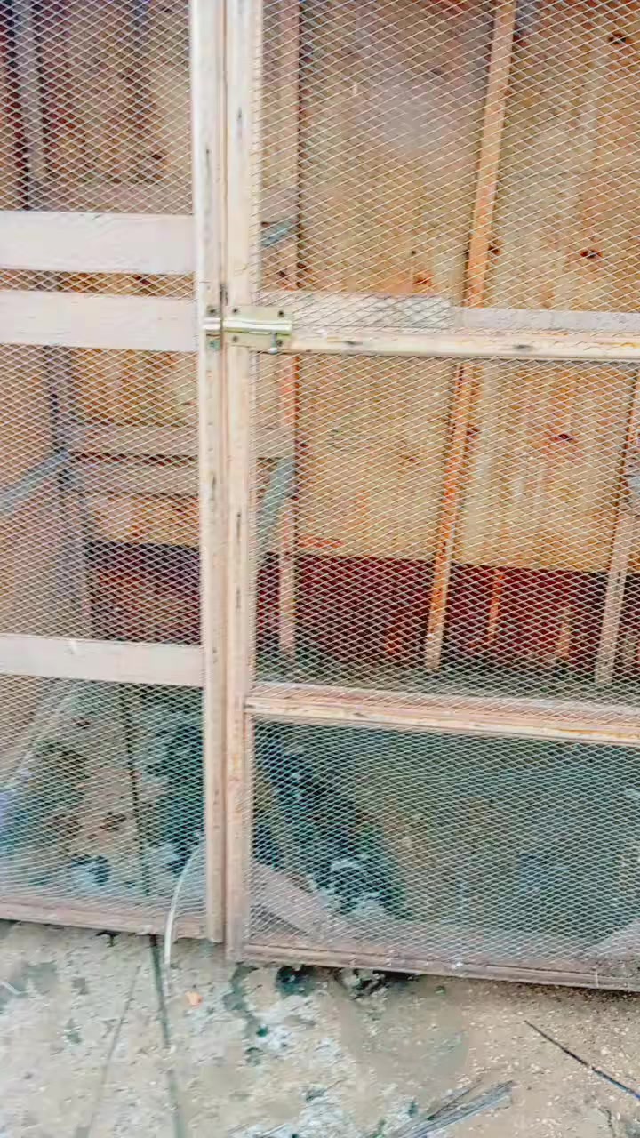 غراض البيع بغداد الرشاد ***********
