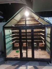 قفص للبيع حديد شخاط الطول 220  العرض 200  النزال 100  الضهر والرظيه خش...