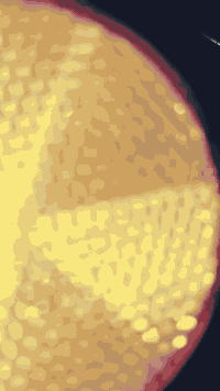 سلام عليكم دراجه نامه موديل 2023 والله دراجه نضيفه دراجه كدام لعين وراق سكنر والسعر خاص تخل ودلل وهذا رقم ***********
