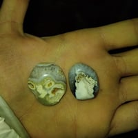 سليمانيات • للبيع • واتساب