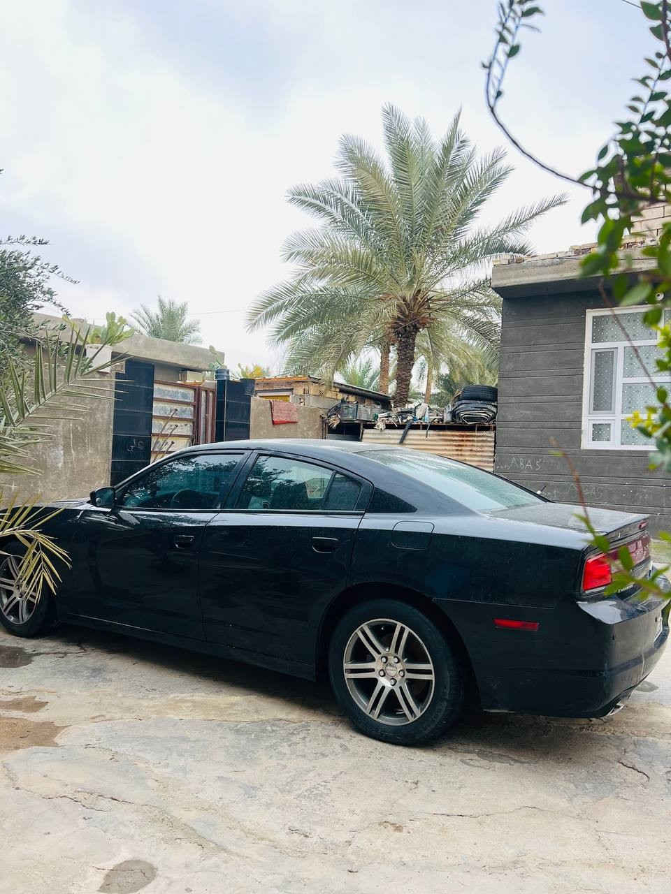 للبيع 2012 كلين فقط بنيد مفتوح بدون صبغ ولاضربه ولاتبديل رقم #سليمانيه جديد سنويه 28 مكاني كربلاء بسمي
كير مكينه حداديه تبريد كفاله سعر 146 وبيهه مجال قليل ماكو هيج سعر كفاله بس مستعجل ع البيع
***********
