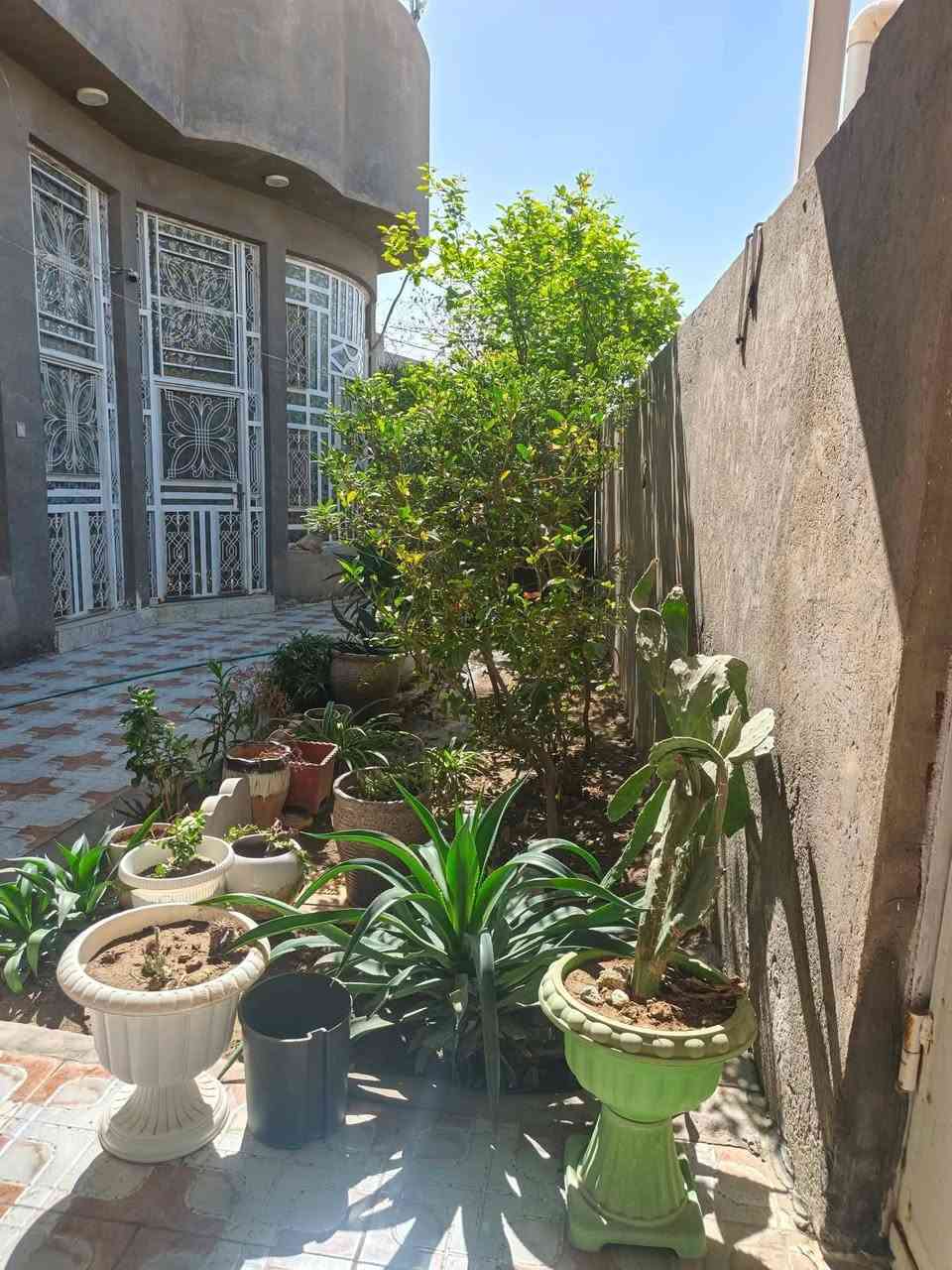 السلام عليكم
  دار للبيع مكان مميز جدا وراقي 
بيت راحت بال وهدوء
طابو زراعي سند25 
نوع البناء //طابوق السقف صب كونكريت بإشراف مهندس مدني
شارع تبليط
بإسم صاحب الارض
تحويل البيت ثاني يوم بعد الشراء
العنوان / /بابل المدحتيه 
المعاره طريق الزوار الوفه الحاده داخل فرع ٨منر 
المساحة//٣٣٦متر 
الواجهه //١٦متر
بناء حديث 
خدمات كامله من ماء وكهرباء وتبليط
السعر/١٨٠وبي مجال
الأثاث من ضمن البيع
تفاصيل البيت طابق واحد
وتكون من
استقبال +كلدور
صاله كبيره جداً
موزع 
عدد الغرف ٢
مطبخ حار وبارد +مطبخ ٣خارج مع صحيات داخليه
منور جانبي مساحةمتر
مجمع صحيات داخليه وخارجيه
طارمه +حديقه
منظومة كامرات 
عرض الشارع ٨متر
البيت كامل وجاهز
البيت موقع حلو وجيد جداً 
بناء حديث 
للاستفسار
مراجعة  مكتب دلالية وائل الهندي 
***********
ابو علي***********
مكتب دلالية وائل الهندي بابل المدحتيه الحمزه الغربي ع شارع 60 قرب سلوان ابو الكاشي مقابيل فرع علي قماره
