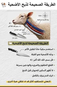 الي عنده ذبيحه مال العيد الضحى نحنو مستعدون اي مكان نطلع هذا رقمي ٠٧٧٧...